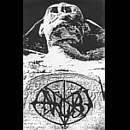 Anubi : Gods Pantheon